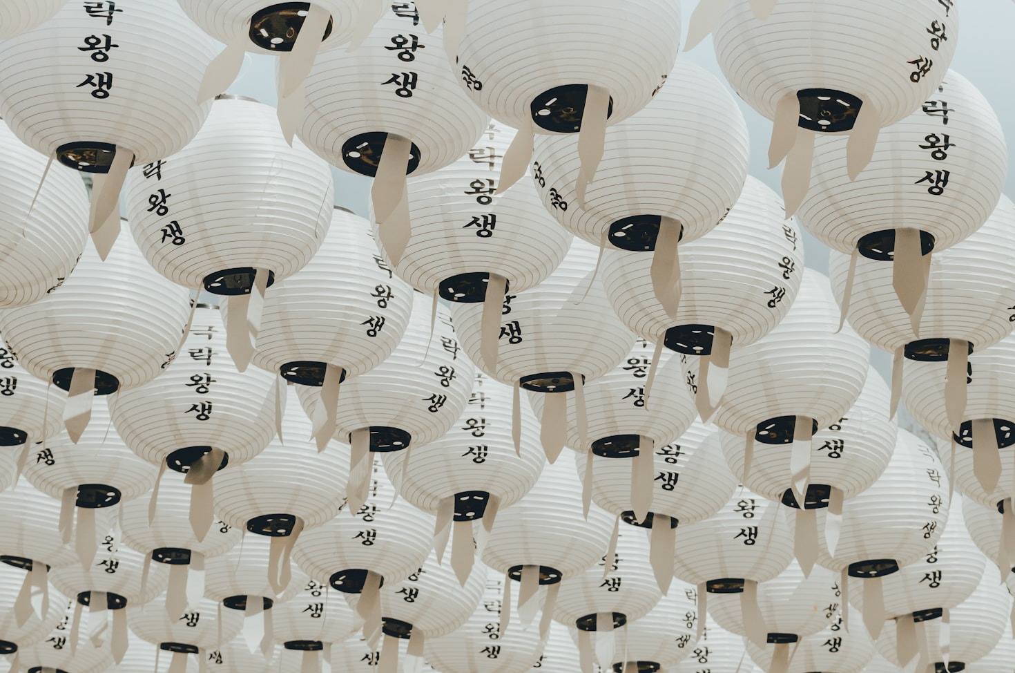 A Foodie’s Guide to Korean Street Markets